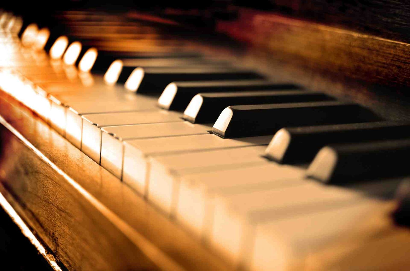 Tuyển giáo viên dạy piano tại Nha Trang